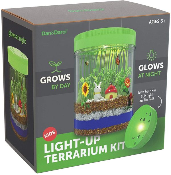 Light up Terrarium Kit for Kids