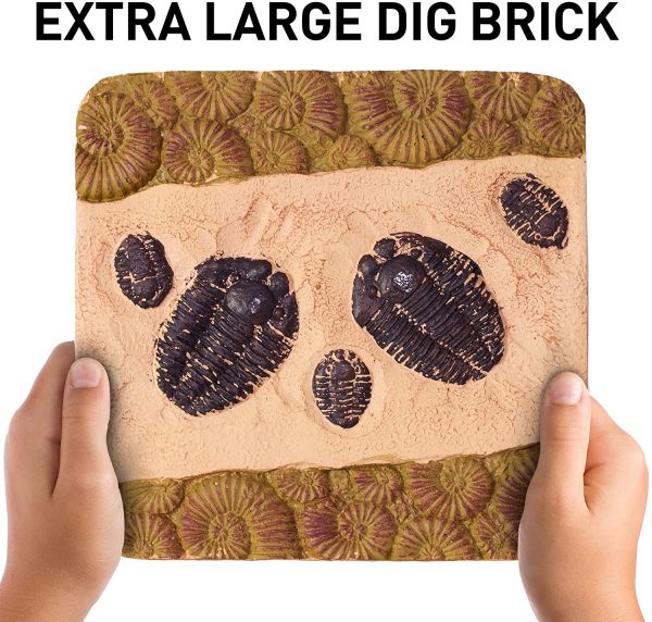 NATIONAL GEOGRAPHIC Mega Fossil Dig Kit