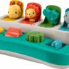 Fisher-Price Baby Early Learning Toy