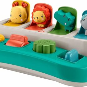 Fisher-Price Baby Early Learning Toy
