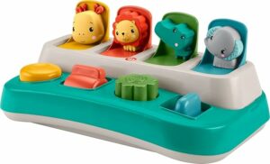 Fisher-Price Baby Early Learning Toy