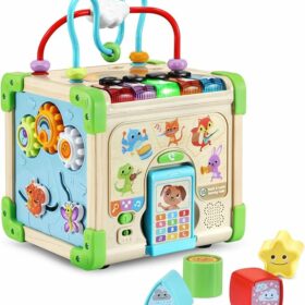 LeapFrog Touch and Learn Electronic Musical Light-Up Wooden Toy