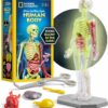 National Geographic Human Body Model for Kids