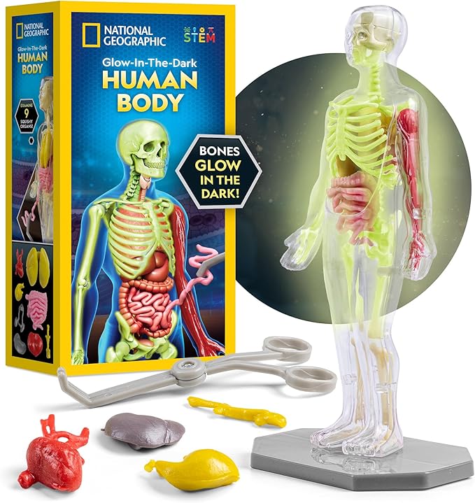National Geographic Human Body Model for Kids