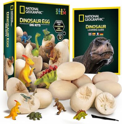 National Geographic Dinosaur Dig Kit