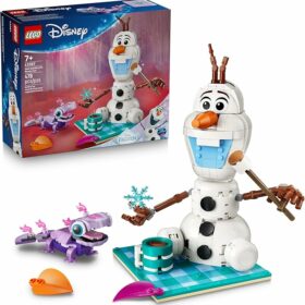 LEGO Disney Frozen Olaf and Bruni’s Picnic Fun Building Toy