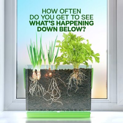 Dan&Darci Root Viewer Kit for Kids Grow Your Own Plant