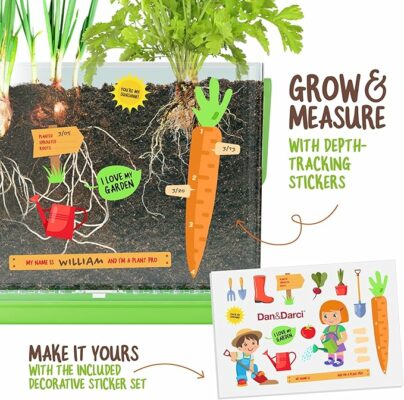 Dan&Darci Root Viewer Kit for Kids Grow Your Own Plant