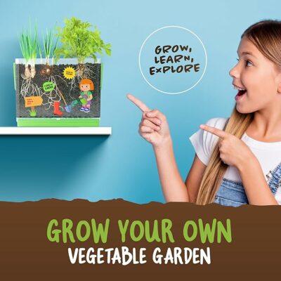 Dan&Darci Root Viewer Kit for Kids Grow Your Own Plant