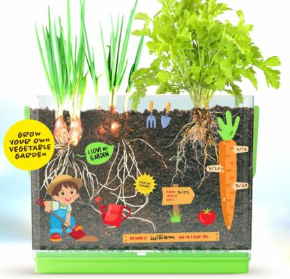 Dan&Darci Root Viewer Kit for Kids Grow Your Own Plant