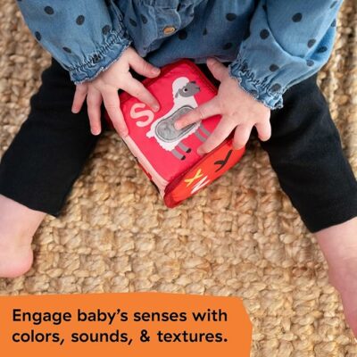 Baby Einstein Alpha Stacks Baby Learning Blocks
