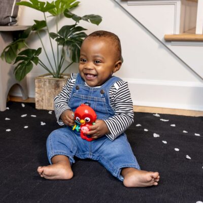 Baby Einstein Roxys Bright Flight Musical Baby Toy & Teether