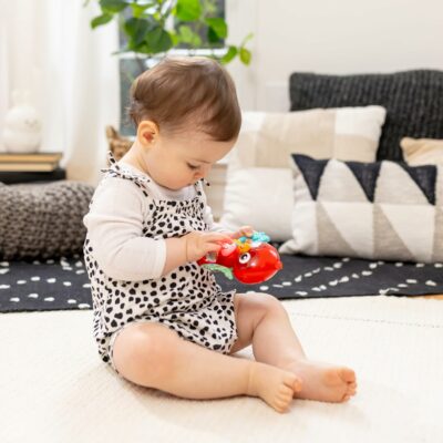 Baby Einstein Roxys Bright Flight Musical Baby Toy & Teether