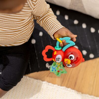 Baby Einstein Roxys Bright Flight Musical Baby Toy & Teether