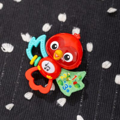 Baby Einstein Roxys Bright Flight Musical Baby Toy & Teether