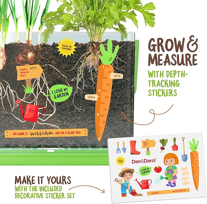Root Viewer Kit for Kids Grow Your Own Plant for Boys & Girls Root Viewer Kit for Kids Grow Your Own Plant for Boys & Girls