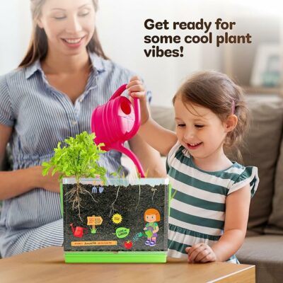 Root Viewer Kit for Kids Grow Your Own Plant for Boys & Girls