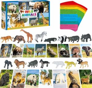 15 PCS Safari Animal Figurines with 15 Flashcards Realistic Zoo Montessori Toy
