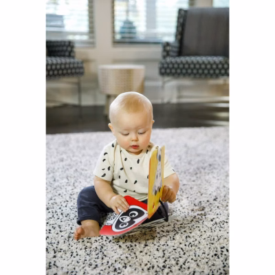 Baby Einstein Flip for Art High Contrast Floor Activity Mirror with Take Along Cards