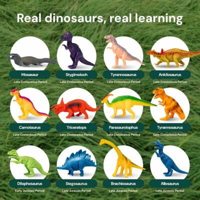 Dinosaur Toys 12 Realistic Dinasour Figure Multi Color Metal Storage Box