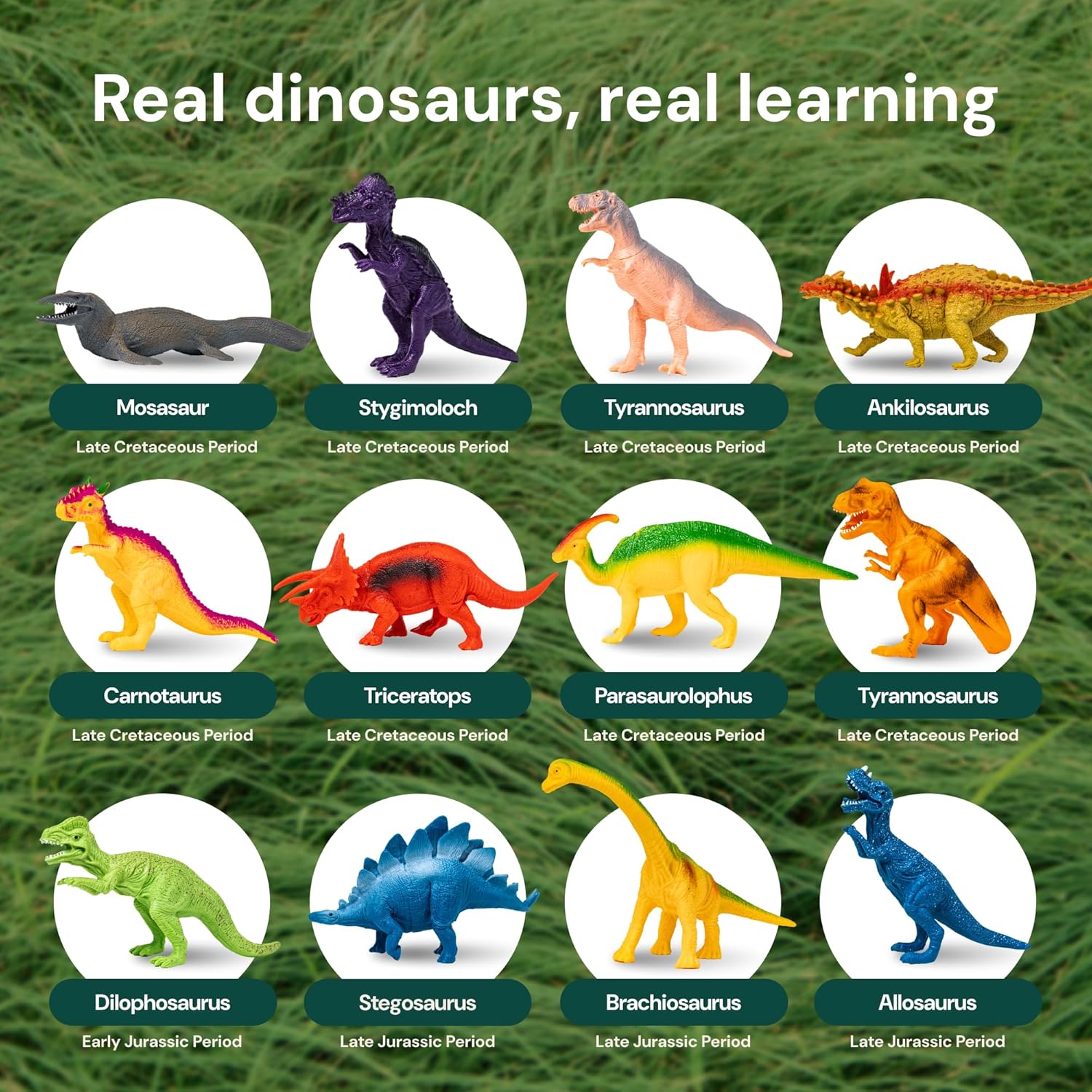 Dinosaur Toys 12 Realistic Dinasour Figure Multi Color Metal Storage Box 7 Dinosaur Toys 12 Realistic Dinasour Figure Multi Color Metal Storage Box