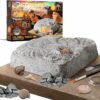Finder Stones Amber Games Excavate Own Open Dinasour Favors Archaeological Olds Projects Lab Earth Young Dinosaurs Art Geologist Sandbox Nature Gift Dancing Present Palentologist Bug Big Little Ninos