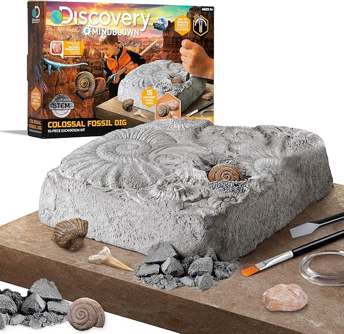 Finder Stones Amber Games Excavate Own Open Dinasour Favors Archaeological Olds Projects Lab Earth Young Dinosaurs Art Geologist Sandbox Nature Gift Dancing Present Palentologist Bug Big Little Ninos