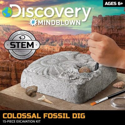 Finder Stones Amber Games Excavate Own Open Dinasour Favors Archaeological Olds Projects Lab Earth Young Dinosaurs Art Geologist Sandbox Nature Gift Dancing Present Palentologist Bug Big Little Ninos