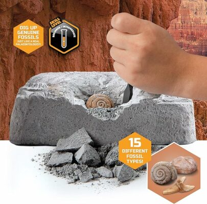 Finder Stones Amber Games Excavate Own Open Dinasour Favors Archaeological Olds Projects Lab Earth Young Dinosaurs Art Geologist Sandbox Nature Gift Dancing Present Palentologist Bug Big Little Ninos