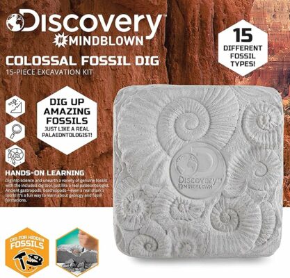Finder Stones Amber Games Excavate Own Open Dinasour Favors Archaeological Olds Projects Lab Earth Young Dinosaurs Art Geologist Sandbox Nature Gift Dancing Present Palentologist Bug Big Little Ninos