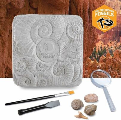Finder Stones Amber Games Excavate Own Open Dinasour Favors Archaeological Olds Projects Lab Earth Young Dinosaurs Art Geologist Sandbox Nature Gift Dancing Present Palentologist Bug Big Little Ninos