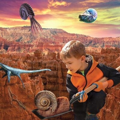 Finder Stones Amber Games Excavate Own Open Dinasour Favors Archaeological Olds Projects Lab Earth Young Dinosaurs Art Geologist Sandbox Nature Gift Dancing Present Palentologist Bug Big Little Ninos