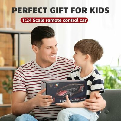 Lamboghini RC Fast Remote Control Car