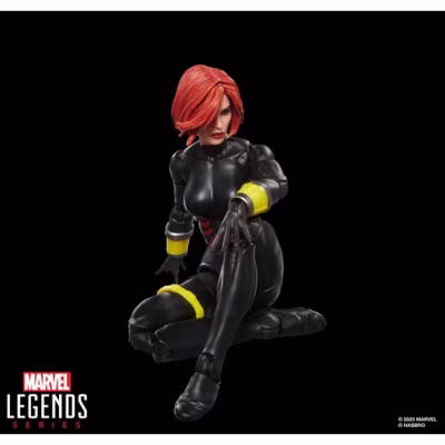 Marvel Legends Series Black Widow and Quicksilver Action Figure