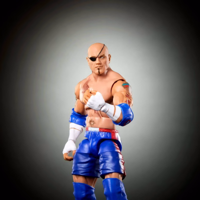 WWE X Street Fighter Batista Action Figure & Accessories