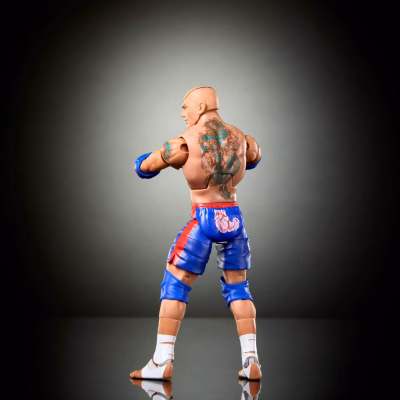 WWE X Street Fighter Batista Action Figure & Accessories