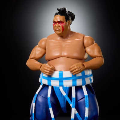 WWE x Street Fighter Yokozuna Action Figure & Accessories